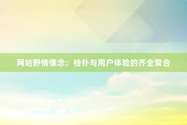 网站野情愫念：检朴与用户体验的齐全聚合